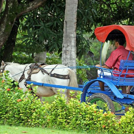 Eco Pousada Paraiso Dos Coqueirais Japaratinga Luaran gambar