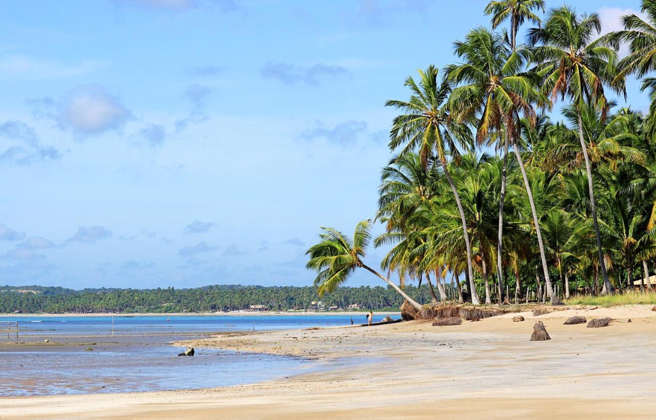Eco Pousada Paraiso Dos Coqueirais Japaratinga Luaran gambar