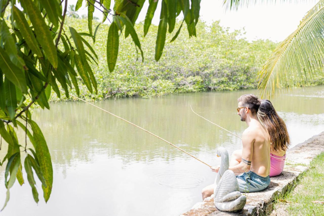 Eco Pousada Paraiso Dos Coqueirais Japaratinga Luaran gambar
