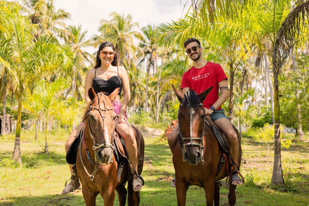 Eco Pousada Paraiso Dos Coqueirais Japaratinga Luaran gambar