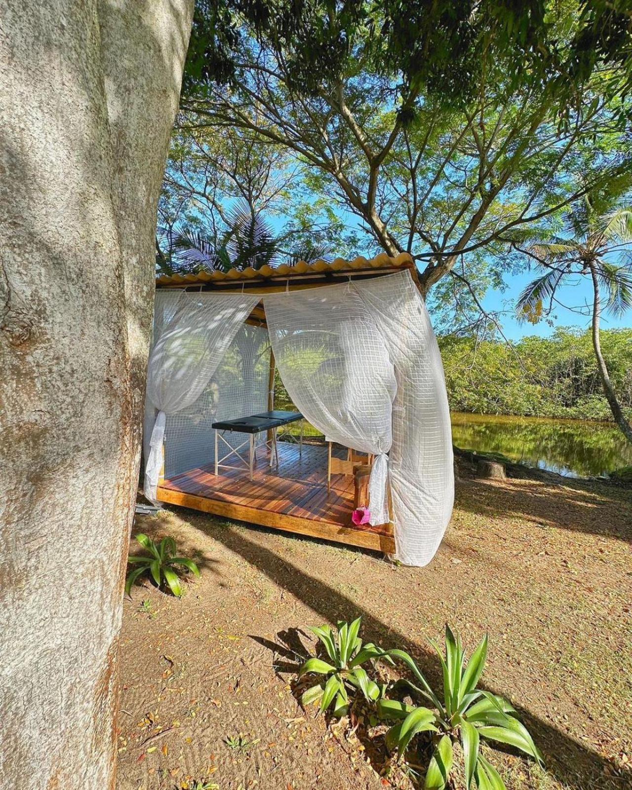 Eco Pousada Paraiso Dos Coqueirais Japaratinga Luaran gambar