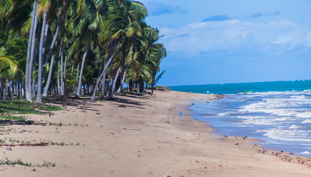 Eco Pousada Paraiso Dos Coqueirais Japaratinga Luaran gambar