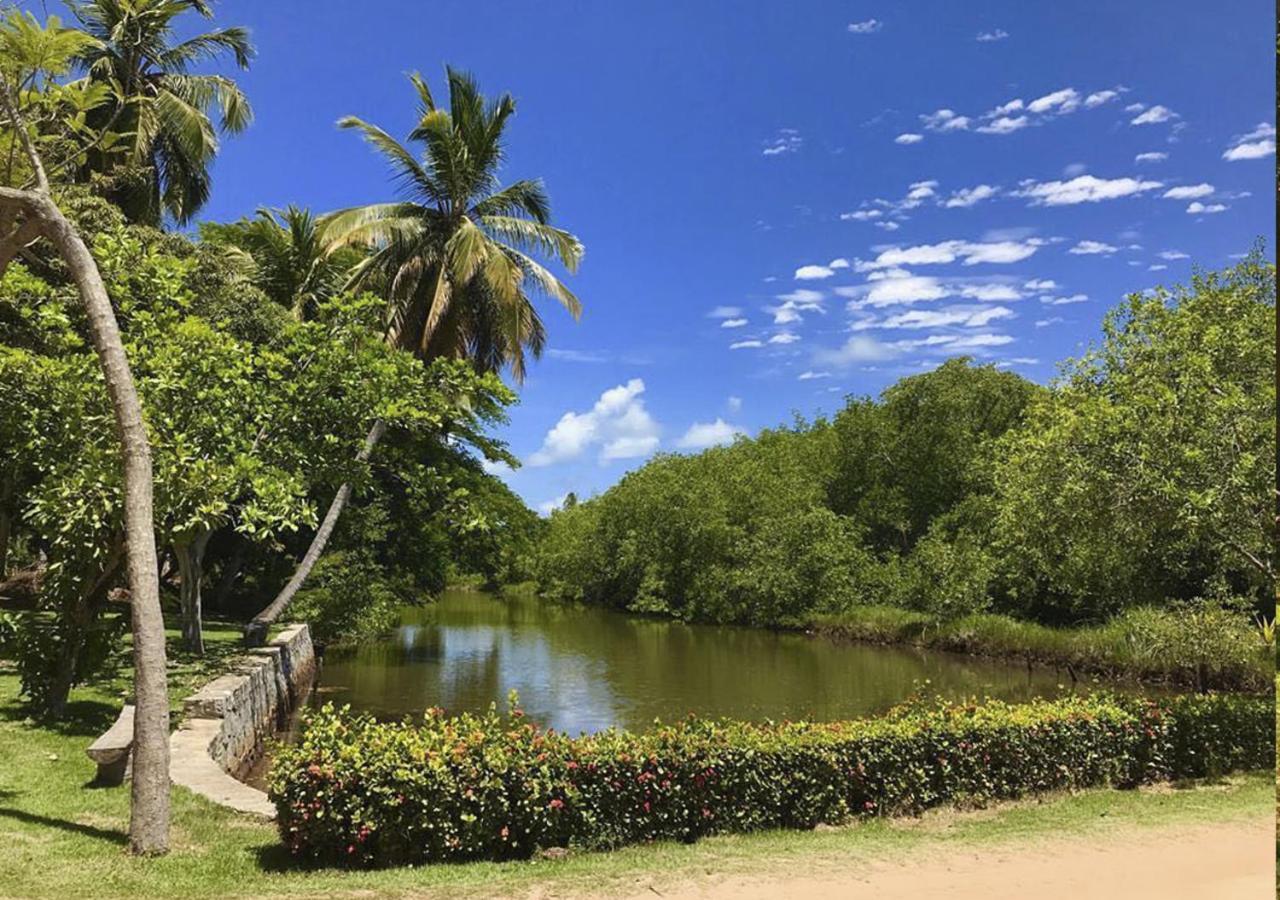 Eco Pousada Paraiso Dos Coqueirais Japaratinga Luaran gambar