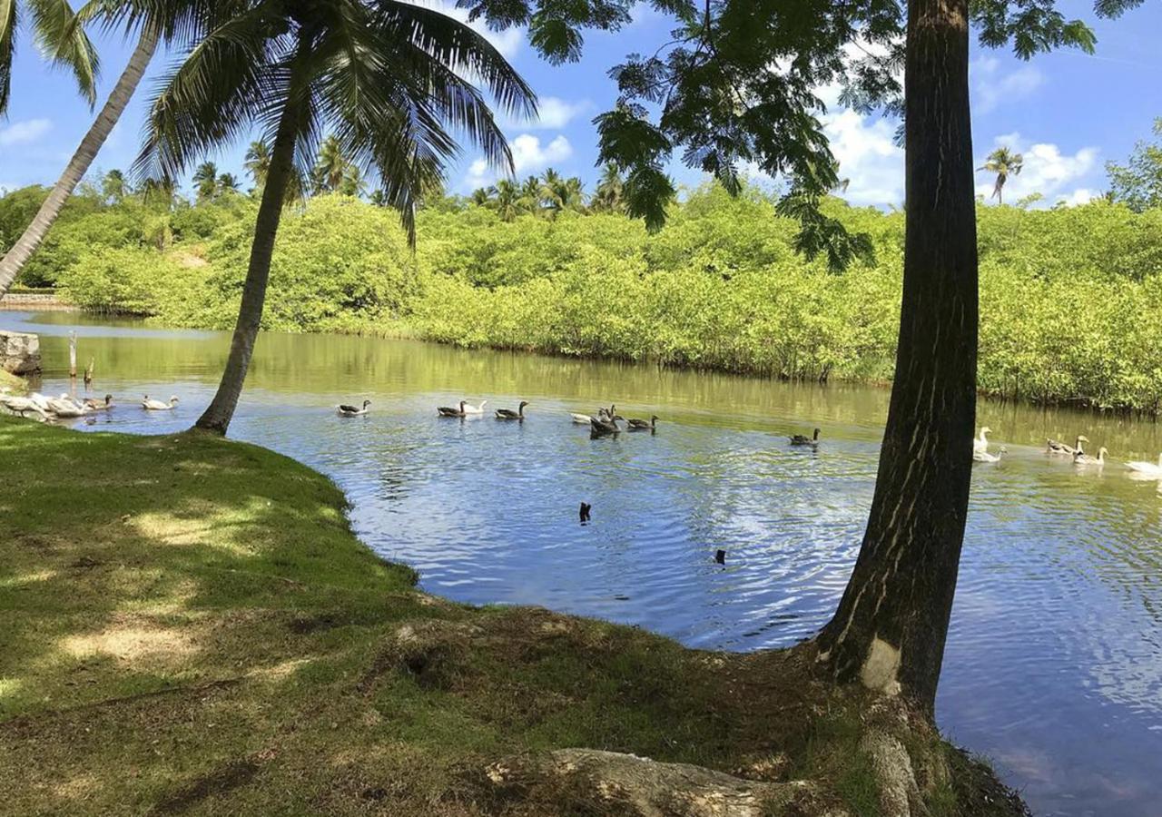 Eco Pousada Paraiso Dos Coqueirais Japaratinga Luaran gambar