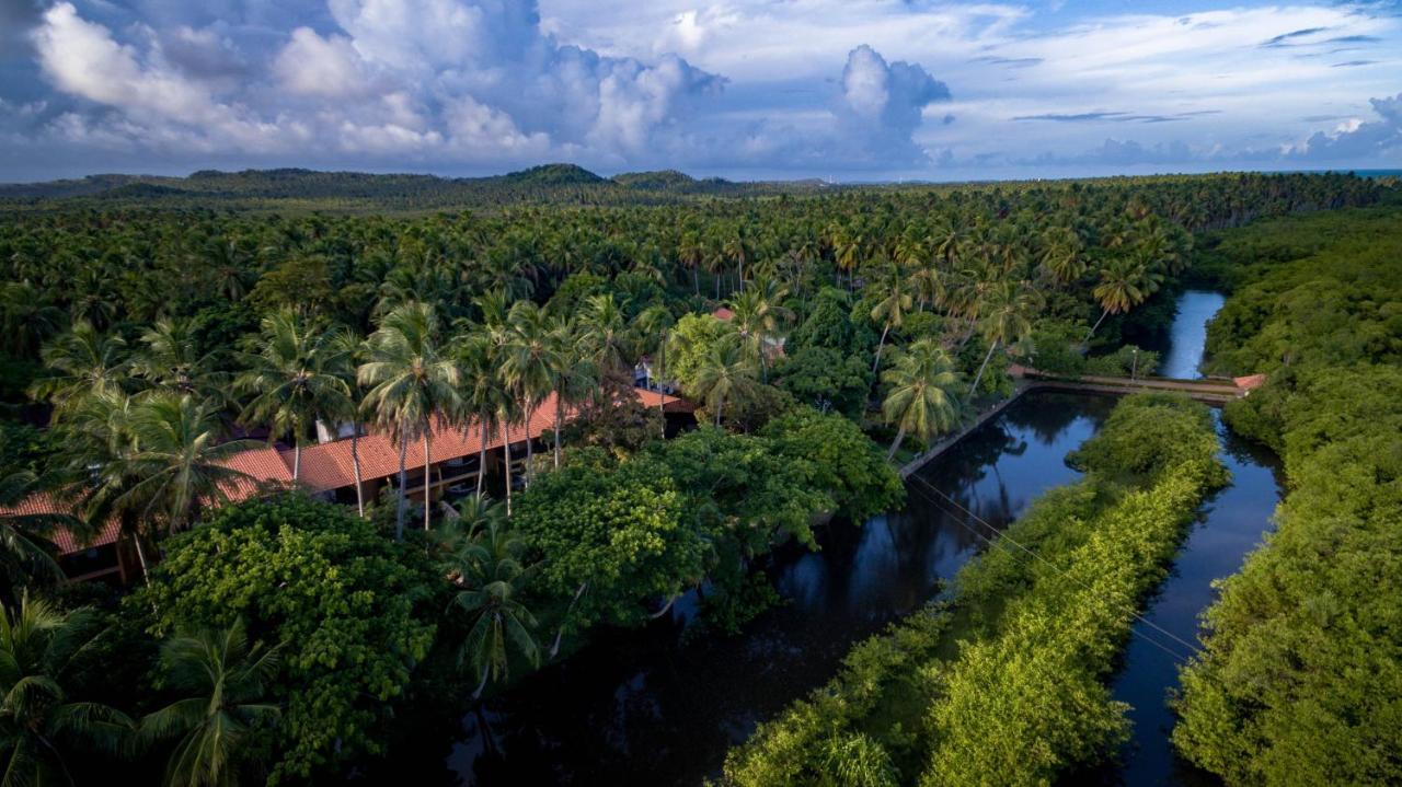 Eco Pousada Paraiso Dos Coqueirais Japaratinga Luaran gambar