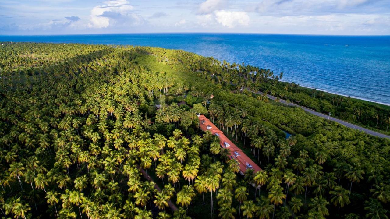 Eco Pousada Paraiso Dos Coqueirais Japaratinga Luaran gambar