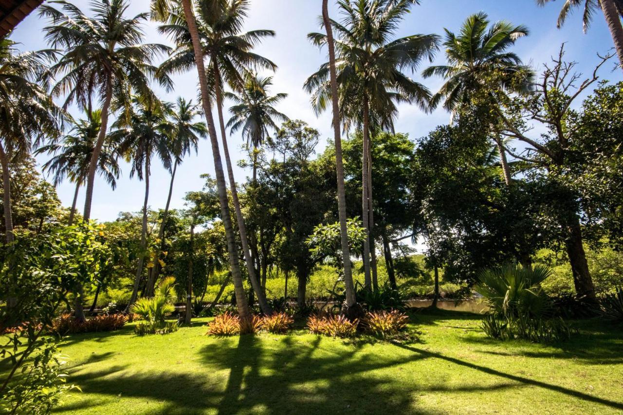 Eco Pousada Paraiso Dos Coqueirais Japaratinga Luaran gambar